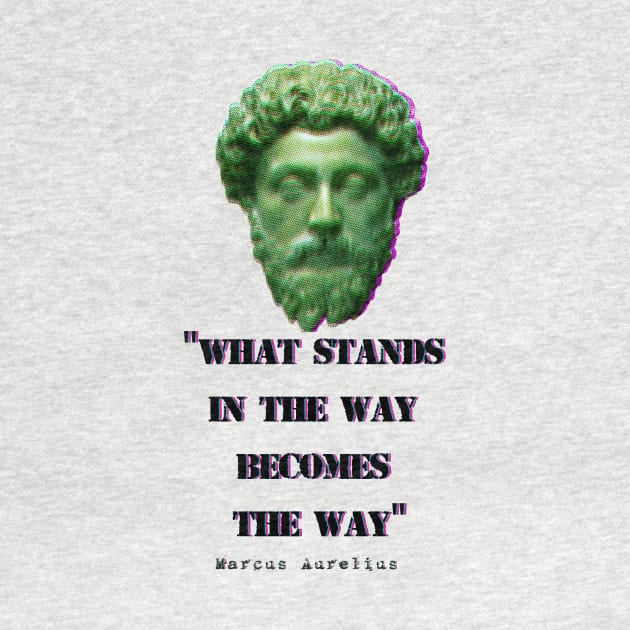 The Obstacle is the Way, Marcus Aurelius. by emma17